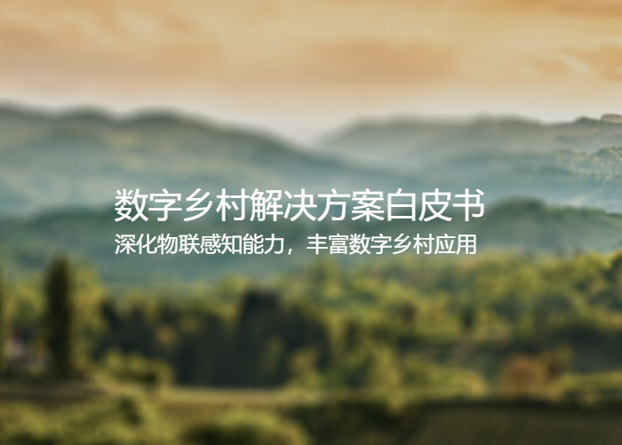 数字乡村
